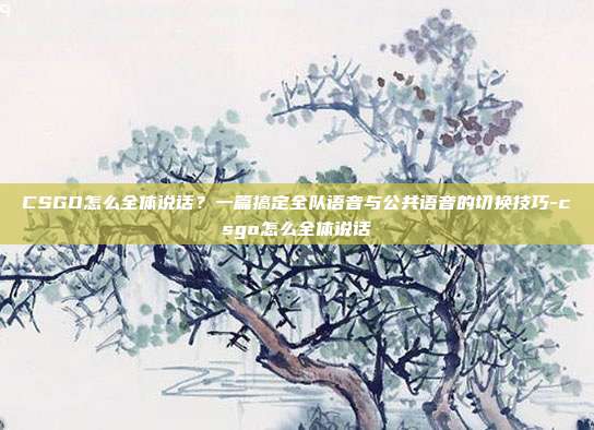 CSGO怎么全体说话?一篇搞定全队语音与公共语音的切换技巧-csgo怎么全体说话