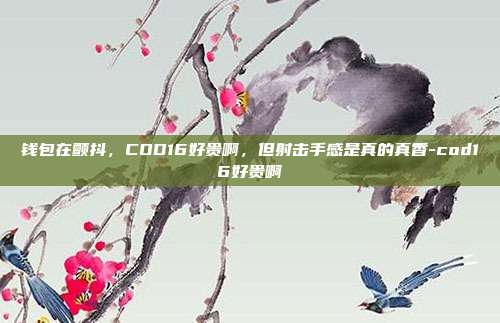 钱包在颤抖,COD16好贵啊,但射击手感是真的真香-cod16好贵啊
