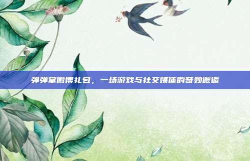 弹弹堂微博礼包,一场游戏与社交媒体的奇妙邂逅