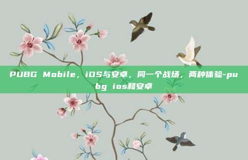 PUBG Mobile,iOS与安卓,同一个战场,两种体验-pubg ios和安卓