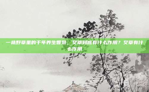 一株野草里的千年养生智慧，艾草到底有什么作用？艾草有什么作用