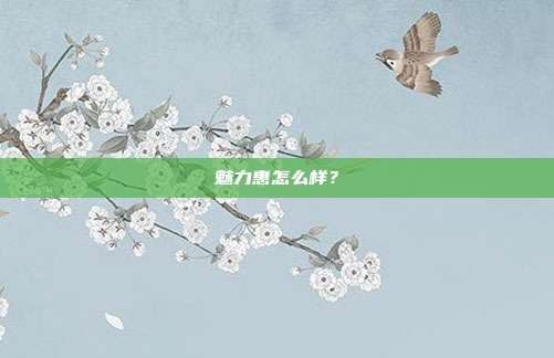 魅力惠怎么样?