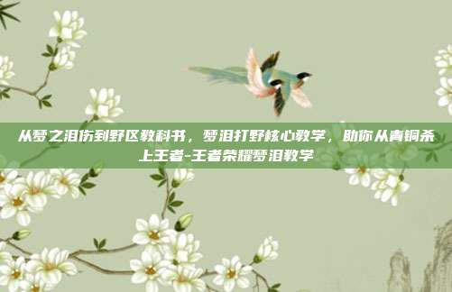从梦之泪伤到野区教科书，梦泪打野核心教学，助你从青铜杀上王者-王者荣耀梦泪教学