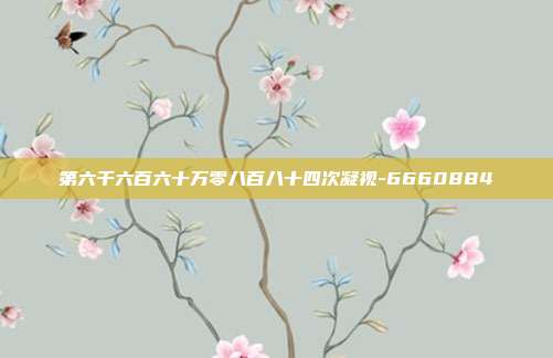 第六千六百六十万零八百八十四次凝视-6660884