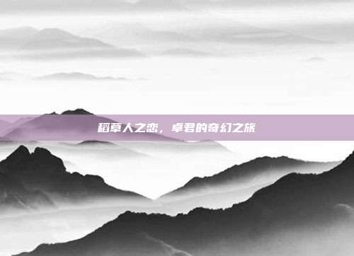 稻草人之恋，卓君的奇幻之旅