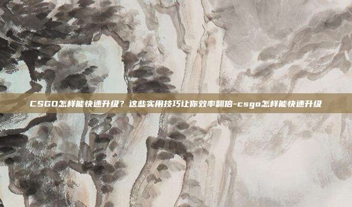 CSGO怎样能快速升级？这些实用技巧让你效率翻倍-csgo怎样能快速升级