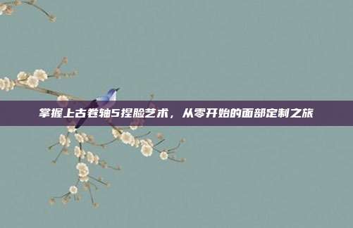 掌握上古卷轴5捏脸艺术，从零开始的面部定制之旅