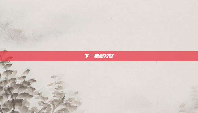 下一把剑攻略