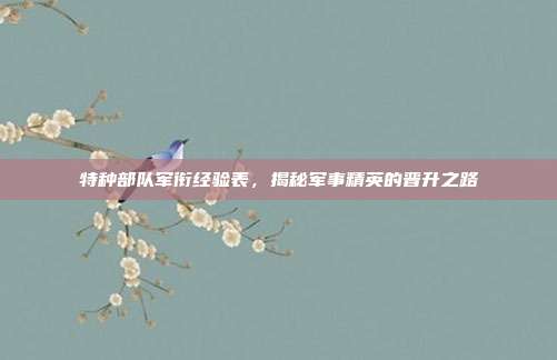 特种部队军衔经验表，揭秘军事精英的晋升之路