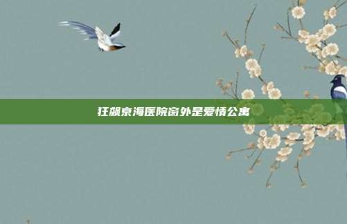 狂飙京海医院窗外是爱情公寓