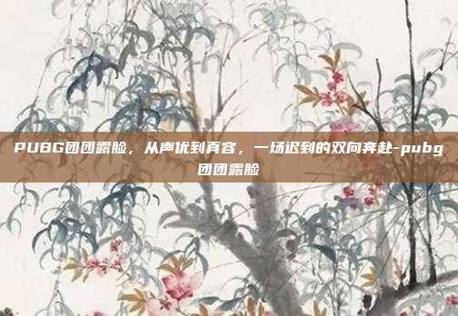 PUBG团团露脸，从声优到真容，一场迟到的双向奔赴-pubg团团露脸
