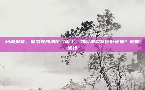 阿嗪米特，被忽视的消化多面手，如何重塑餐后舒适感？阿嗪米特