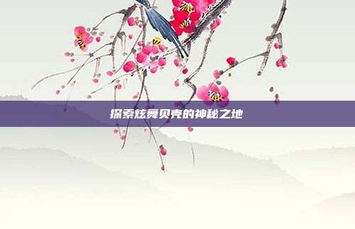探索炫舞贝壳的神秘之地