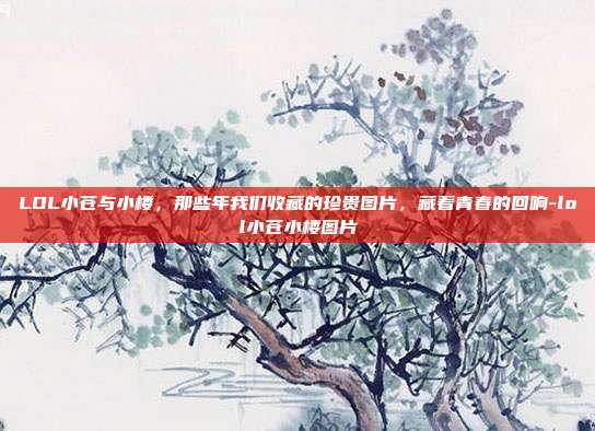 LOL小苍与小楼,那些年我们收藏的珍贵图片,藏着青春的回响-lol小苍小楼图片