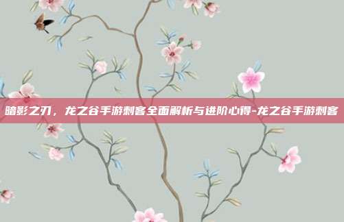 暗影之刃,龙之谷手游刺客全面解析与进阶心得-龙之谷手游刺客