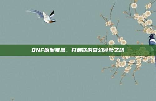 DNF愿望宝盒，开启你的奇幻冒险之旅
