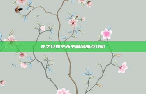 龙之谷时空领主刷图加点攻略