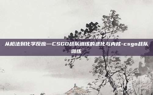 从枪法到化学反应—CSGO战队训练的进化与内核-csgo战队训练