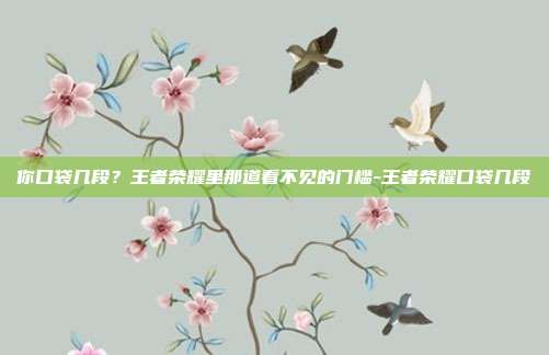 你口袋几段?王者荣耀里那道看不见的门槛-王者荣耀口袋几段