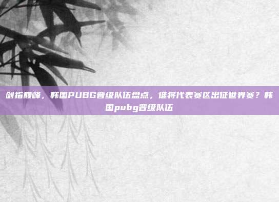 剑指巅峰,韩国PUBG晋级队伍盘点,谁将代表赛区出征世界赛?韩国pubg晋级队伍