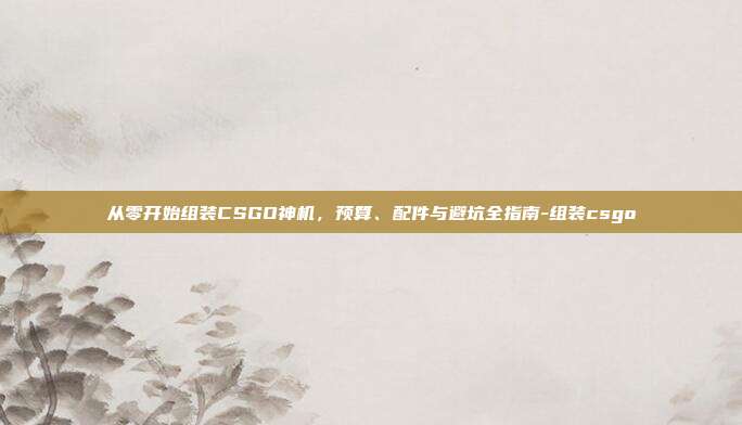 从零开始组装CSGO神机，预算、配件与避坑全指南-组装csgo