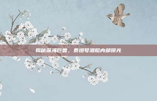 揭秘深海巨兽,泰坦号潜艇内部曝光