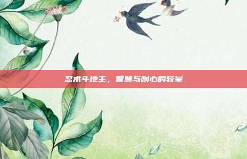 忍术斗地主，智慧与耐心的较量