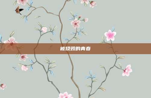 被烧毁的青春
