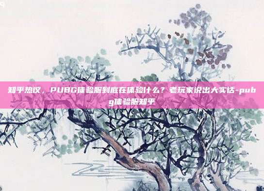 知乎热议，PUBG体验服到底在体验什么？老玩家说出大实话-pubg体验服知乎