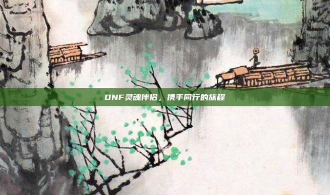 DNF灵魂伴侣，携手同行的旅程