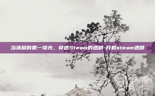 当清晨的第一缕光，穿透Steam的透明-开机steam透明