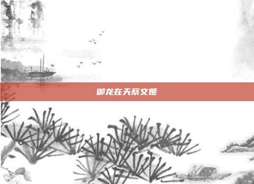 御龙在天蔡文姬