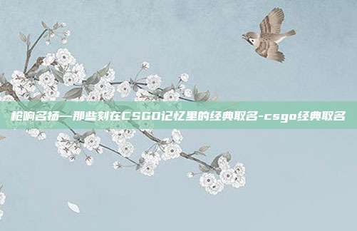 枪响名扬—那些刻在CSGO记忆里的经典取名-csgo经典取名