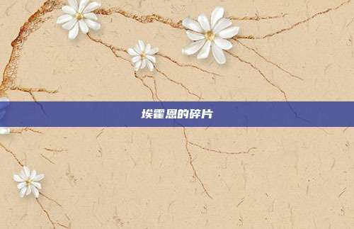 埃霍恩的碎片