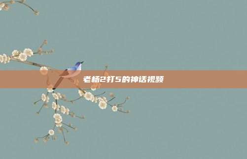 老杨2打5的神话视频