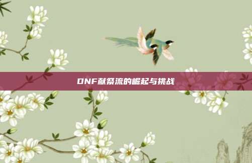 DNF献祭流的崛起与挑战
