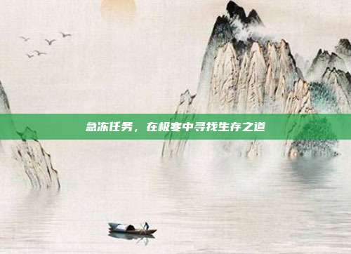 急冻任务,在极寒中寻找生存之道