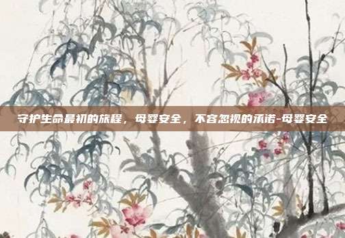 守护生命最初的旅程,母婴安全,不容忽视的承诺-母婴安全