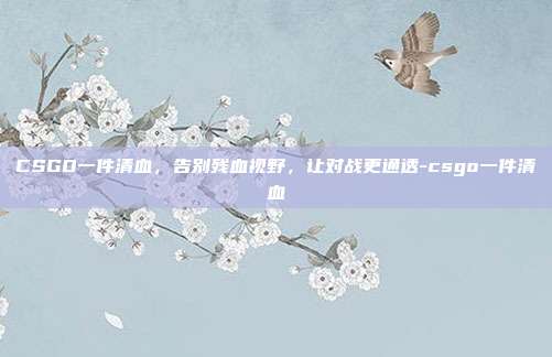 CSGO一件清血，告别残血视野，让对战更通透-csgo一件清血