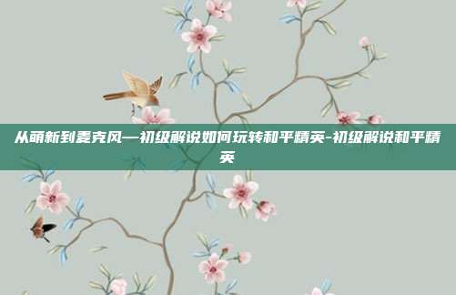从萌新到麦克风—初级解说如何玩转和平精英-初级解说和平精英