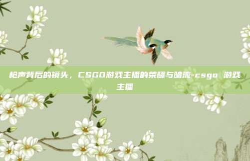 枪声背后的镜头，CSGO游戏主播的荣耀与暗流-csgo 游戏主播