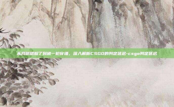 从我明明躲了到被一枪穿墙，深入解析CSGO的判定延迟-csgo判定延迟