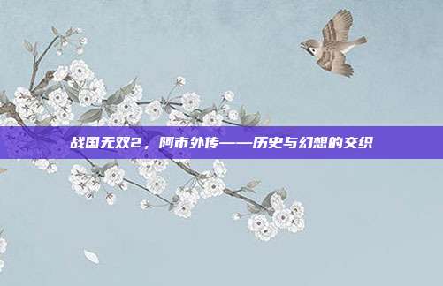 战国无双2，阿市外传——历史与幻想的交织