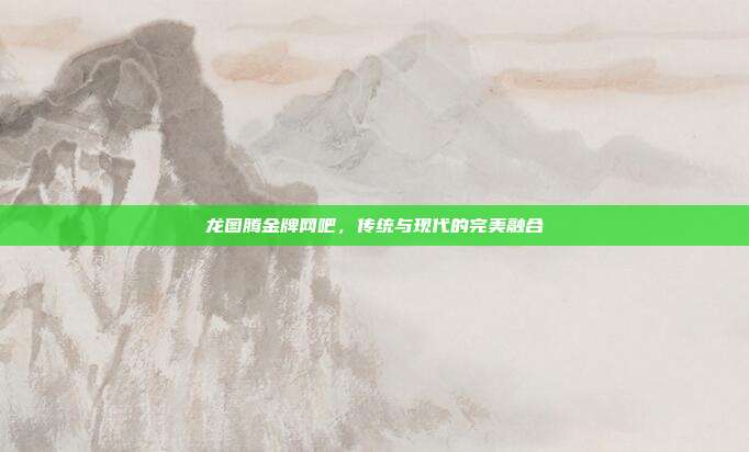 龙图腾金牌网吧，传统与现代的完美融合