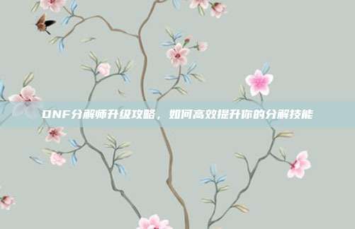 DNF分解师升级攻略，如何高效提升你的分解技能