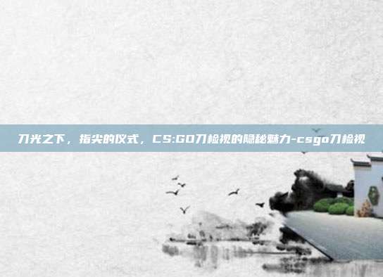 刀光之下,指尖的仪式,CS:GO刀检视的隐秘魅力-csgo刀检视