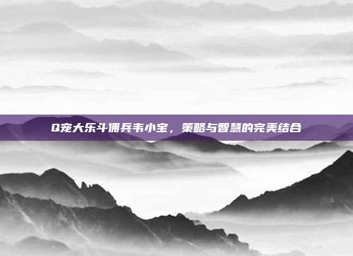 Q宠大乐斗佣兵韦小宝,策略与智慧的完美结合