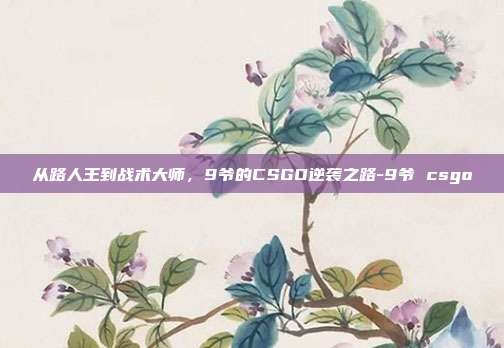 从路人王到战术大师,9爷的CSGO逆袭之路-9爷 csgo