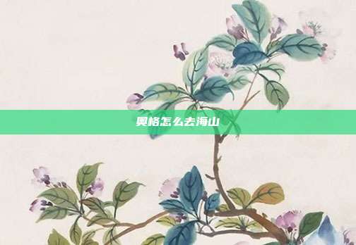 奥格怎么去海山