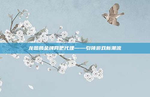 龙图腾金牌网吧代理——引领游戏新潮流